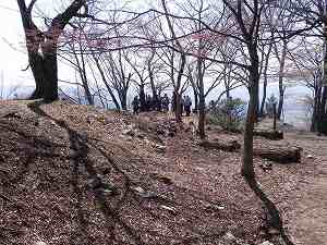 20110413odani (18).jpg